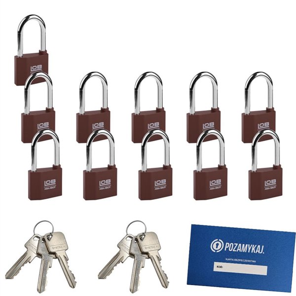 Kłódki z wydłużonym pałąkiem na jeden klucz 11 szt LOB KZ51