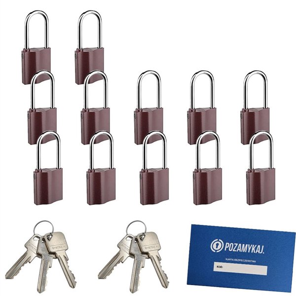 Kłódki z wydłużonym pałąkiem na jeden klucz 12 szt LOB K351