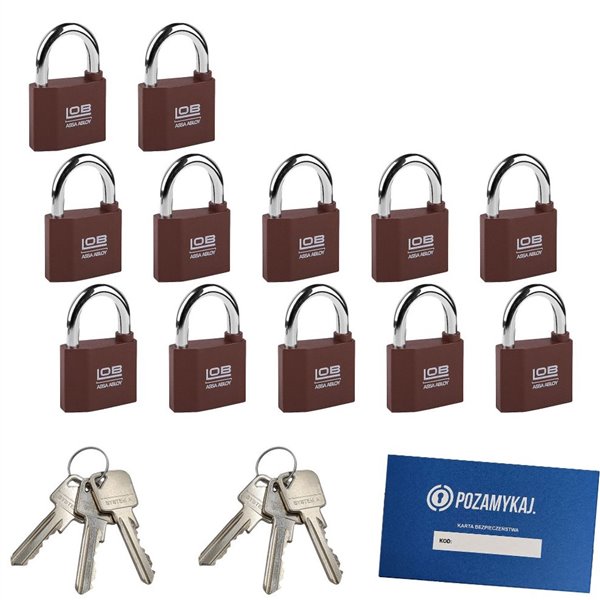 Kłódki na jeden klucz 12 szt LOB KZ50