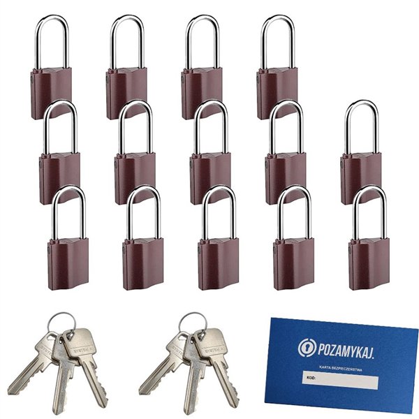 Kłódki z wydłużonym pałąkiem na jeden klucz 14 szt LOB K351