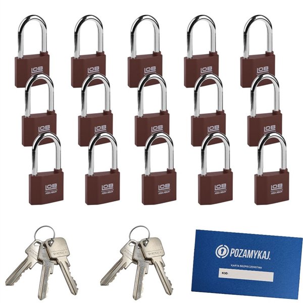 Kłódki z wydłużonym pałąkiem na jeden klucz 15 szt LOB KZ51