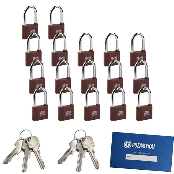 Kłódki z wydłużonym pałąkiem na jeden klucz 17 szt LOB KZ51