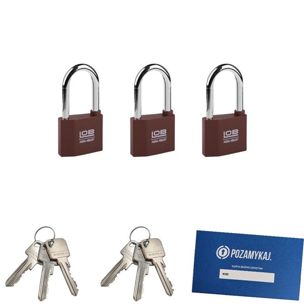 Kłódki z wydłużonym pałąkiem na jeden klucz 3 szt LOB KZ51