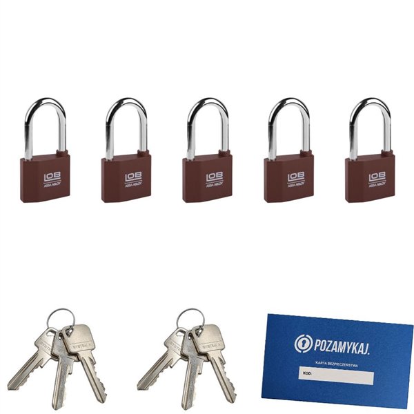 Kłódki z wydłużonym pałąkiem na jeden klucz 5 szt LOB KZ51