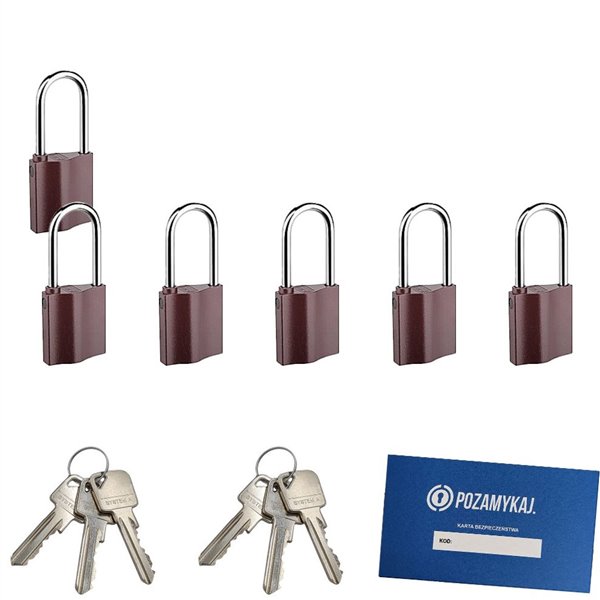 Kłódki z wydłużonym pałąkiem na jeden klucz 6 szt LOB K351