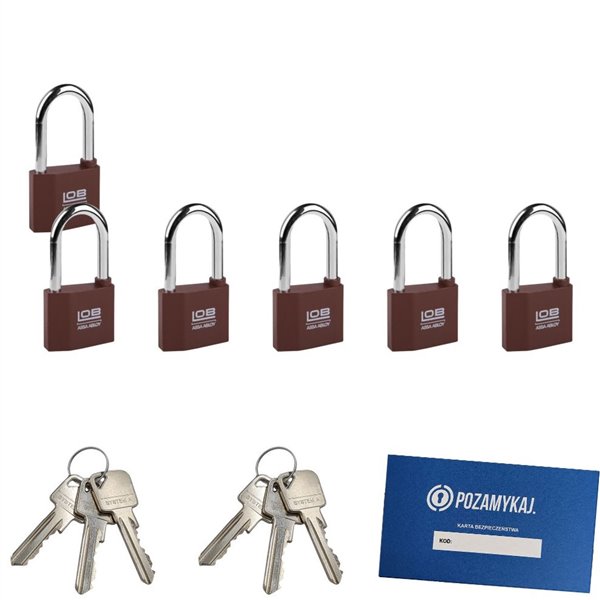 Kłódki z wydłużonym pałąkiem na jeden klucz 6 szt LOB KZ51