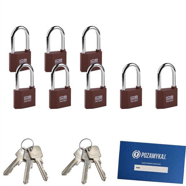 Kłódki z wydłużonym pałąkiem na jeden klucz 8 szt LOB KZ51