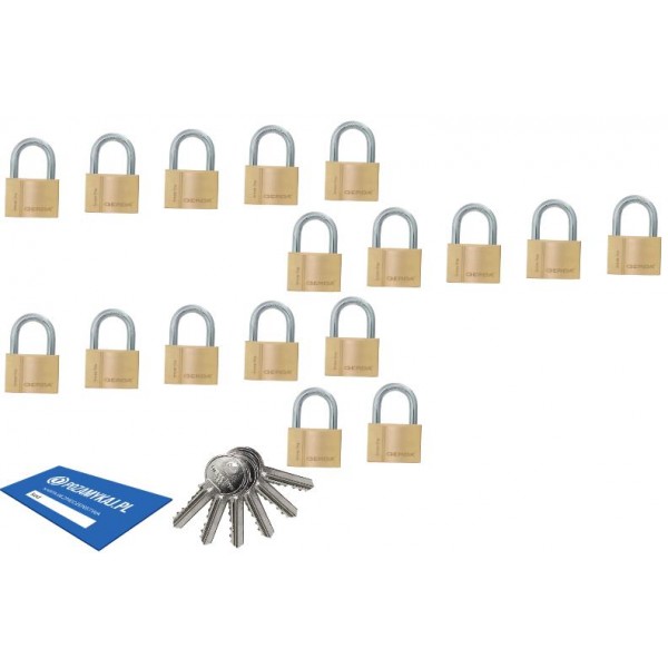 17 szt kłódki 50 jeden klucz GERDA Smart System