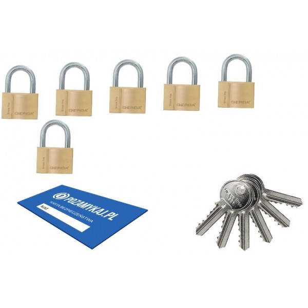 6 szt kłódki 50 jeden klucz GERDA Smart System