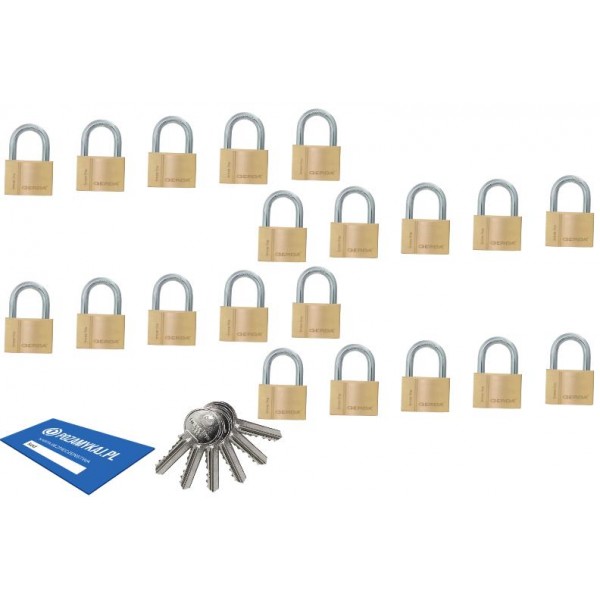 100 szt kłódki 50 jeden klucz GERDA Smart System