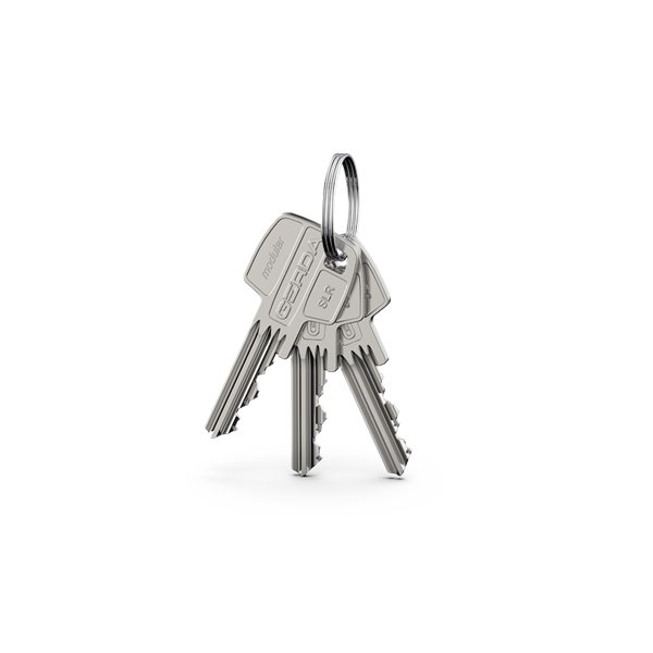 Wkładka GERDA SLR 30-61/30 (typ A) do tedee